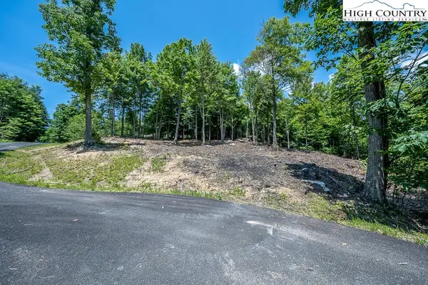 Lot 81 TBD Bear Creek Road, Elk Park, NC 28622