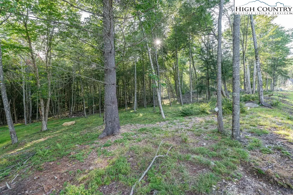 ES49 Rippling Waters Trail, Banner Elk, NC 28604 - Image #1