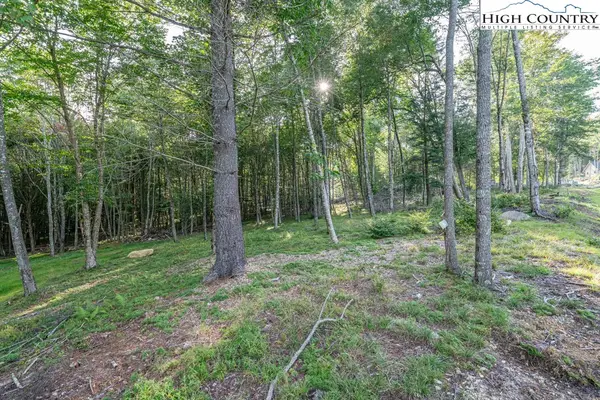 ES49 Rippling Waters Trail, Banner Elk, NC 28604