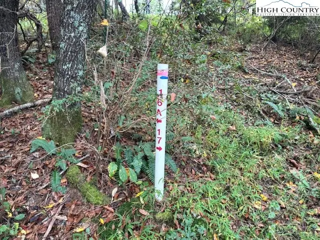 TBD River Forest Road, Piney Creek, NC 28663 - Image #3