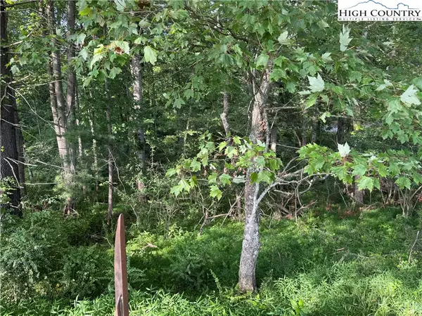 LOT 605 Mtn Dew Drive, West Jefferson, NC 28694