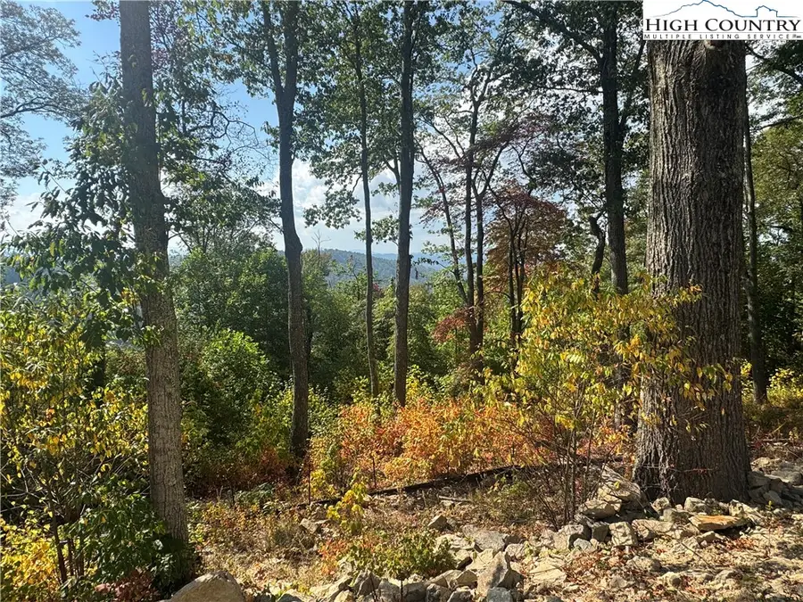 Lot 9 Eagles Crest Trail, Elk Park, NC 28622 - Image #2