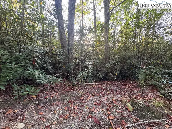 TBD Farview Lane, Newland, NC 28657