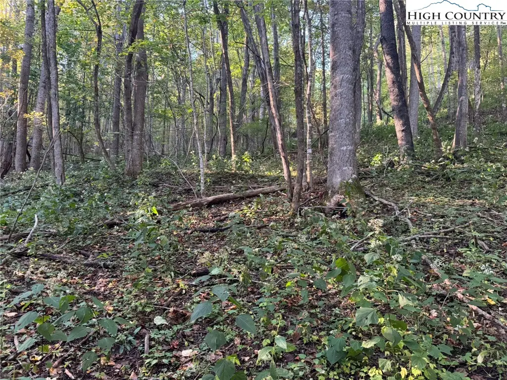 3.59 acres Mulberry Cove Road, Boone, NC 28607 - Image #1