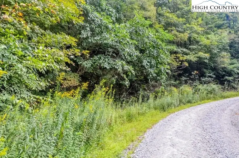 3.59 acres Mulberry Cove Road, Boone, NC 28607 - Image #2