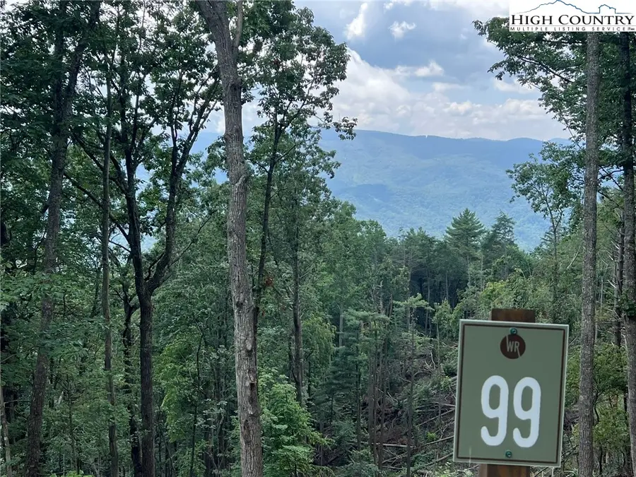 Lot 99 Wildcat Wilderness Parkway, Boone, NC 28607 - Image #2