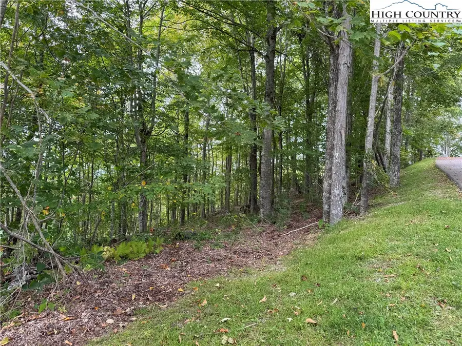 TBD Bear Paw Road, Elk Park, NC 28622 - Image #2