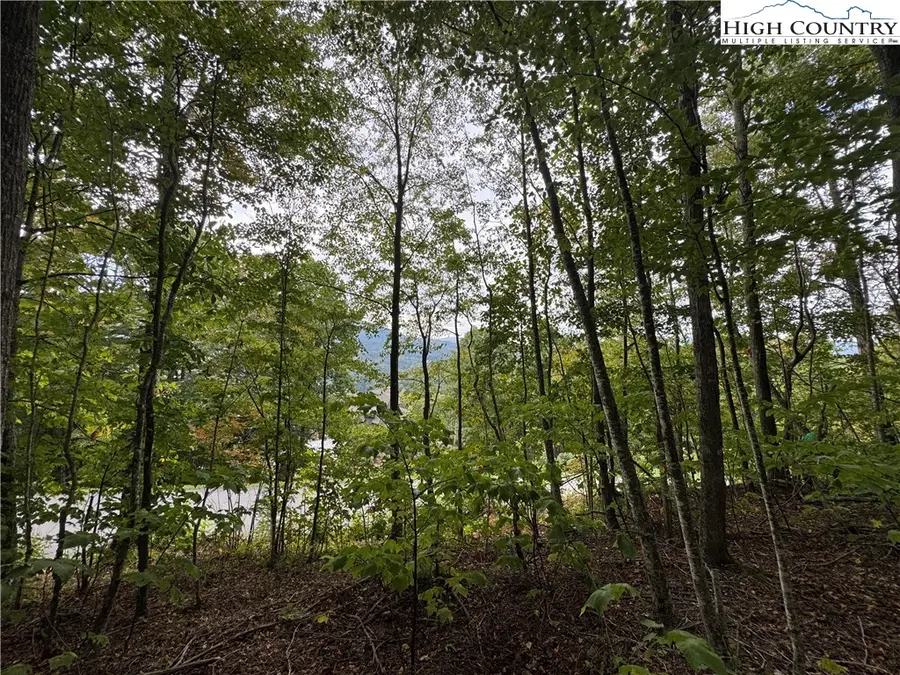 TBD Bear Paw Road, Elk Park, NC 28622 - Image #3