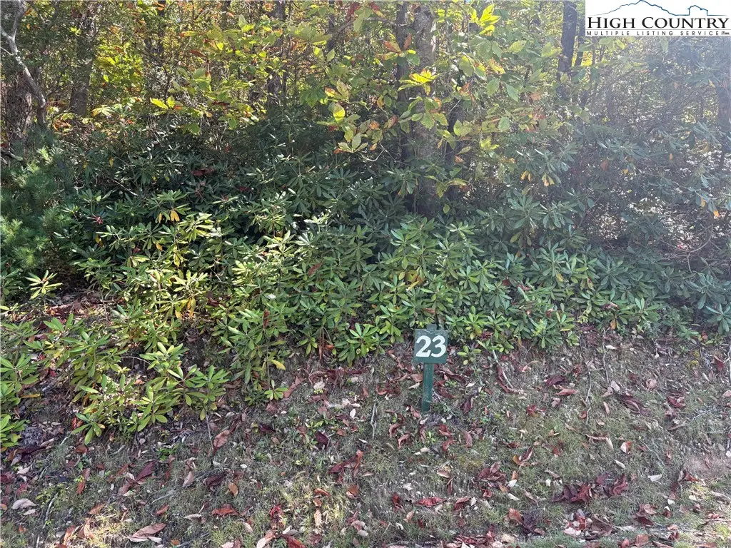 TBD Fishers Peak View, Ennice, NC 28623 - Image #1