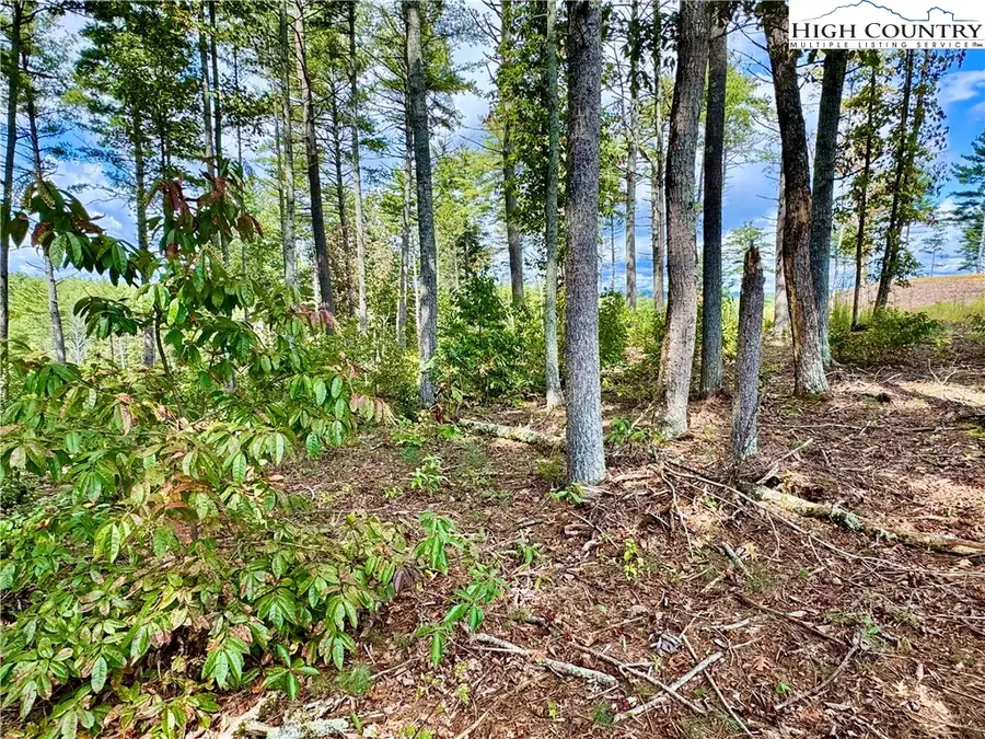 4.24 Acres 2088 Thoroughbred Way, Lenoir, NC 28645 - Image #2