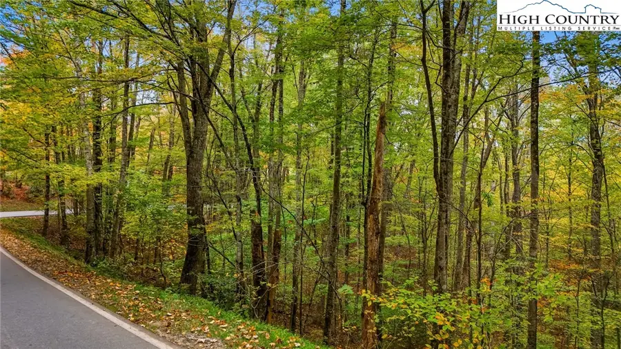 Lot 85 Wren Way, Banner Elk Township, NC 34990 - Image #3