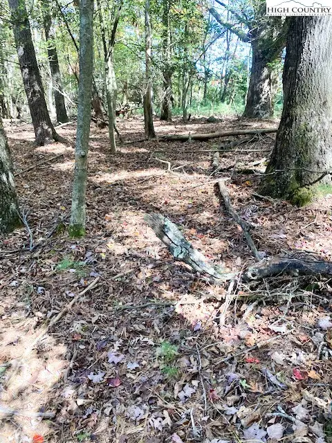 TBD Hollyknoll Road, Glade Valley, NC 28627 - Image #1