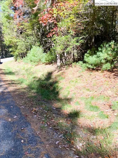 TBD Hollyknoll Road, Glade Valley, NC 28627 - Image #3