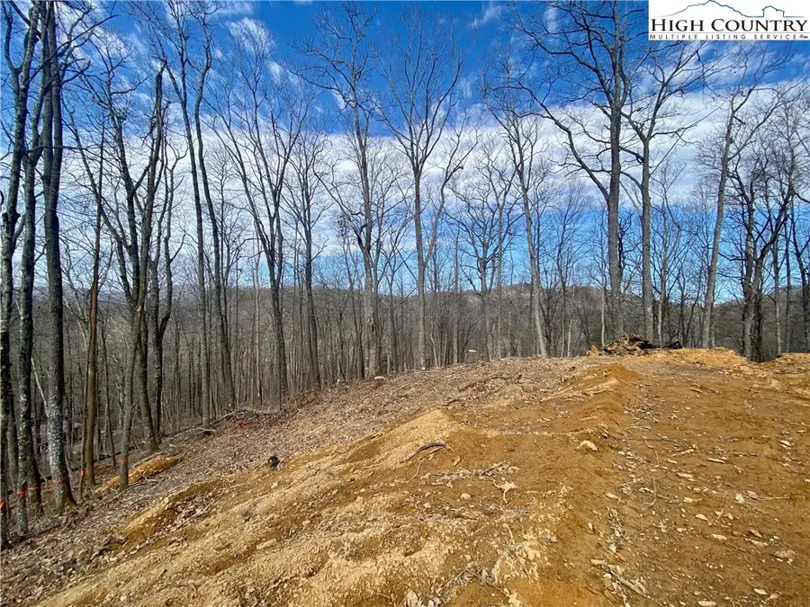 TBD Old Chestnut Mountain Road, Newland, NC 28657 - Image #3