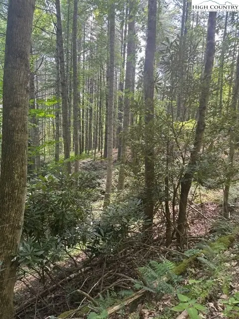 Lot 17 Sunny Lane, Crumpler, NC 28617 - Image #1