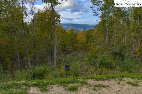 Lot 124 Tower Oaks Trail, Elk Park, NC 28622