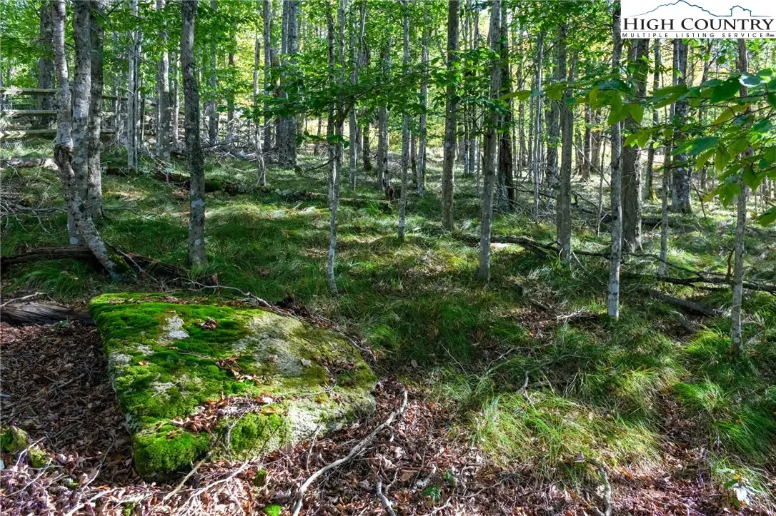 123 Briarwood Lane, Beech Mountain, NC 28604 - Image #1