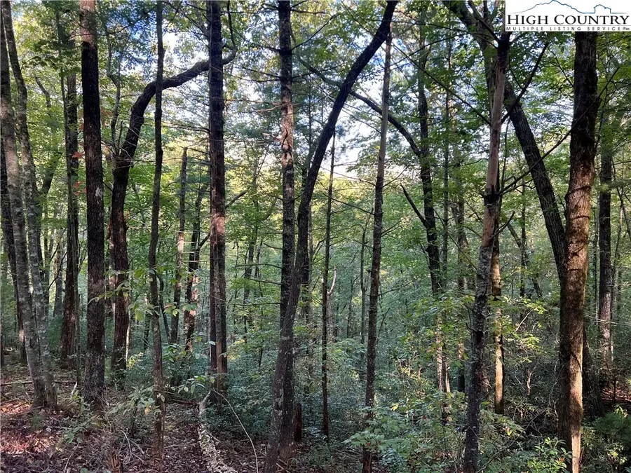 Lot 20 Black Hills Drive, Collettsville, NC 28611 - Image #2