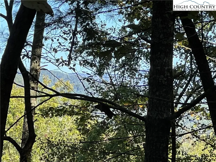 Lot 20 Black Hills Drive, Collettsville, NC 28611 - Image #3