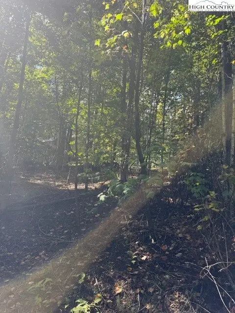 166 Wild Iris, Beech Mountain, NC 28604 - Image #1