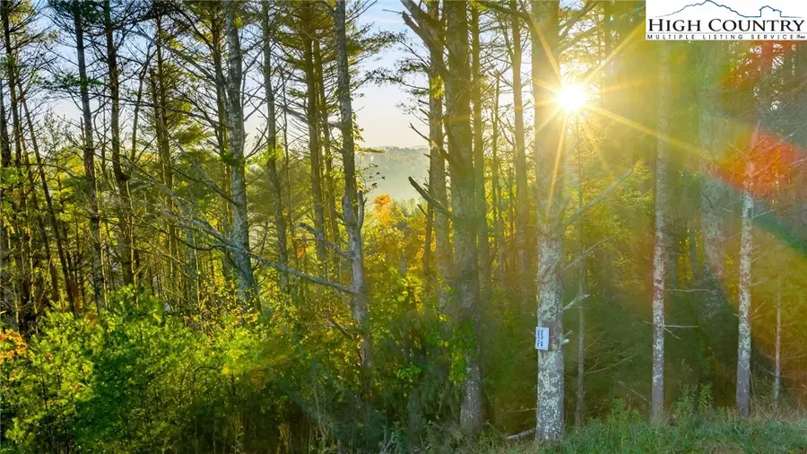 18 and 19 Davis Acres Drive, West Jefferson, NC 28694 - Image #2