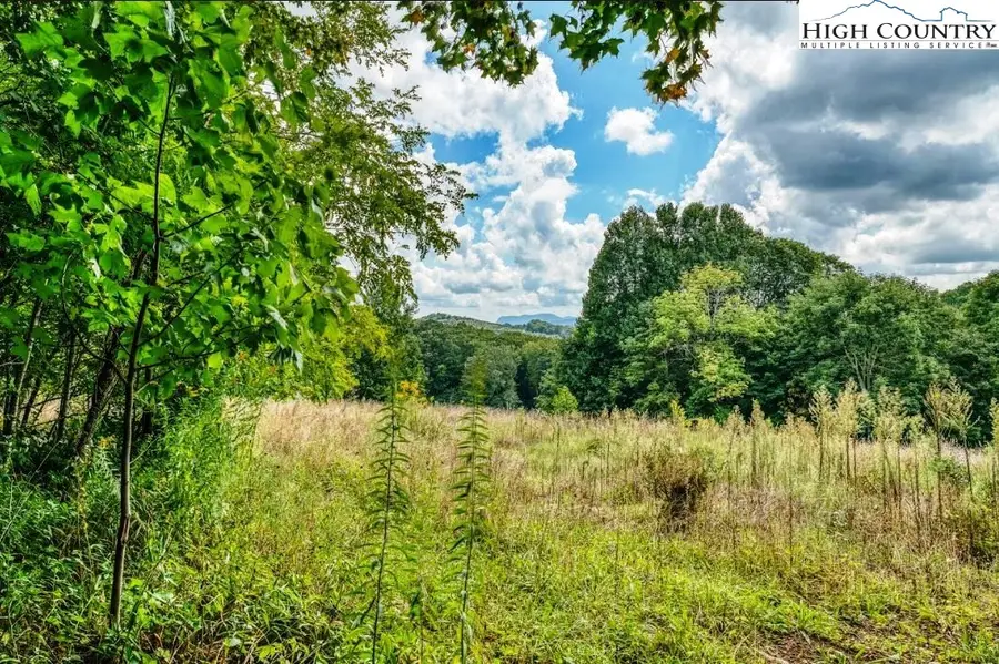 tbd Cow Camp Road, Newland, NC 28657 - #2