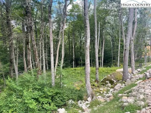 ES71 Twisted Oak Path, Banner Elk, NC 28604 - Image #1