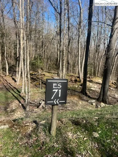 ES71 Twisted Oak Path, Banner Elk, NC 28604 - Image #2