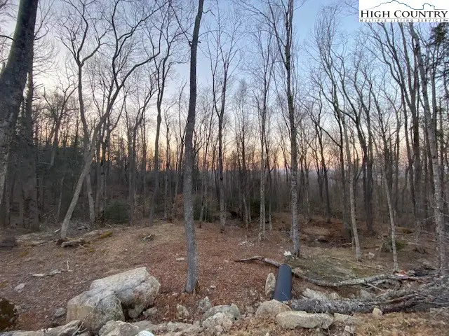 ES71 Twisted Oak Path, Banner Elk, NC 28604 - Image #3