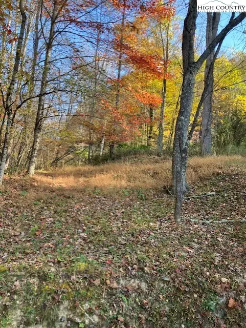 TBD Nc Hwy 194 S, Vilas, NC 28692 - Image #3