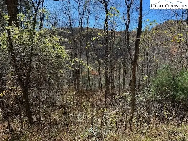 TBD River Front Drive, Jefferson, NC 28640 - Image #2