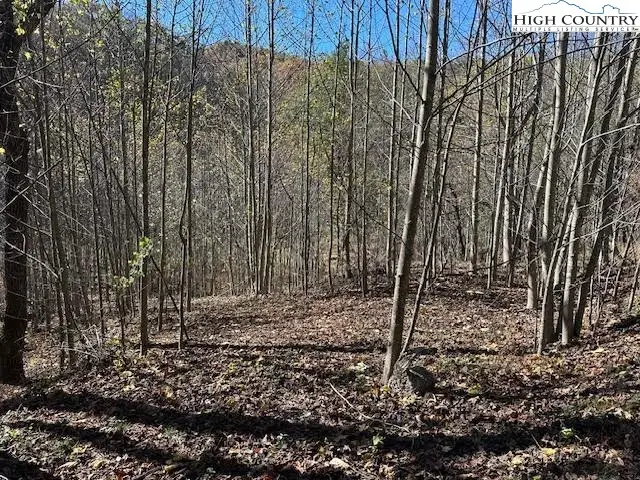 TBD River Front Drive, Jefferson, NC 28640 - Image #3