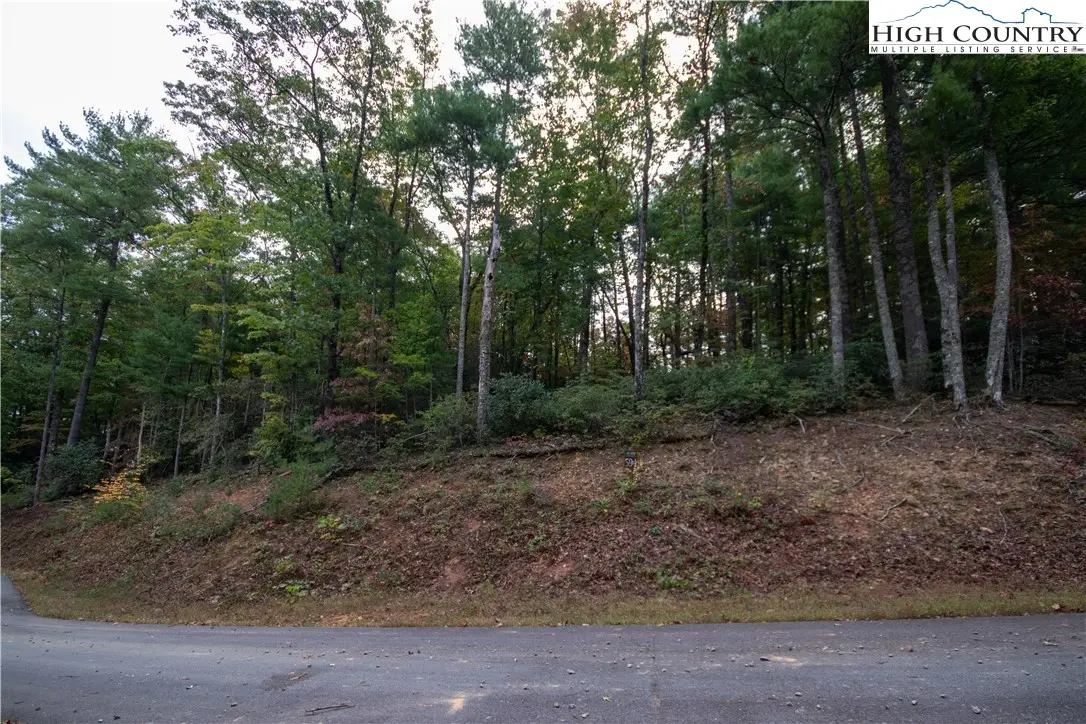 Lot# 594 Timberline Drive, Lenoir, NC 28645 - #1