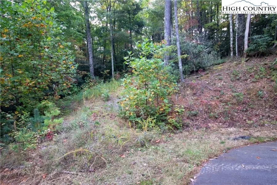 Lot# 594 Timberline Drive, Lenoir, NC 28645 - #3