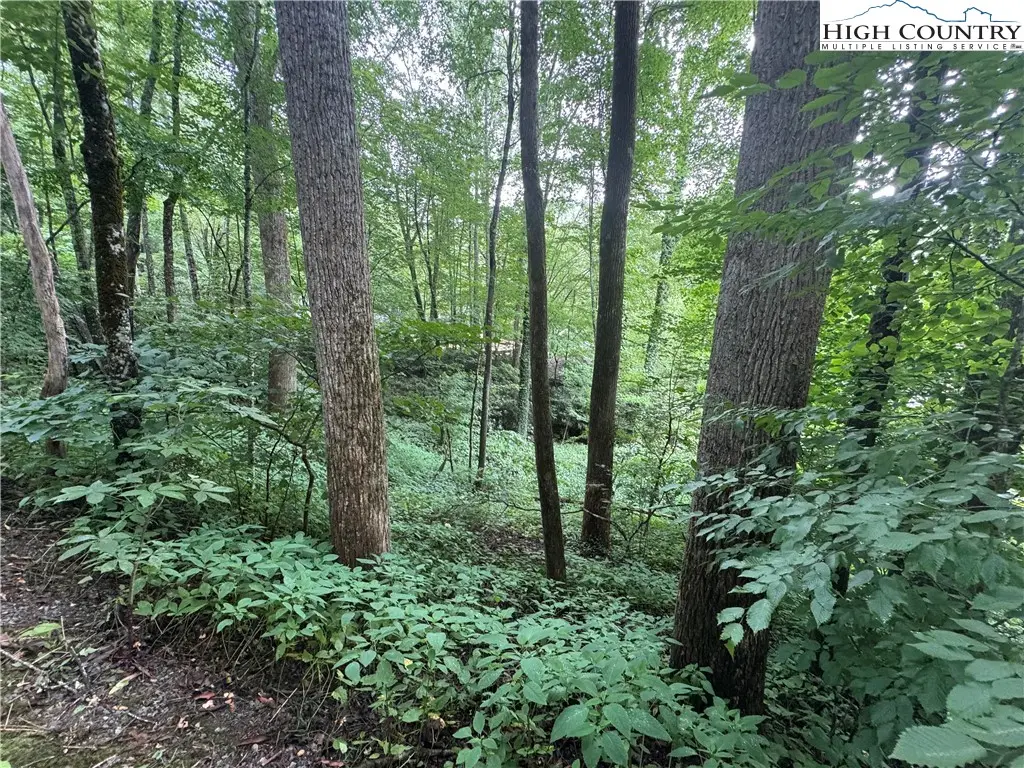 TBD Clubhouse Drive, Banner Elk, NC 28604 - Image #1