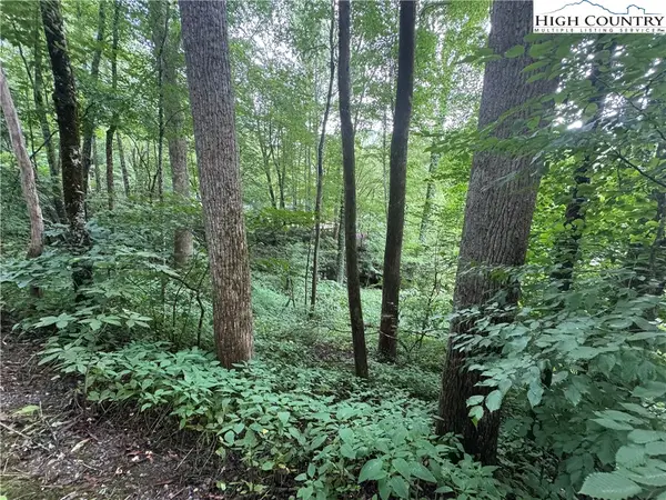 TBD Clubhouse Drive, Banner Elk, NC 28604