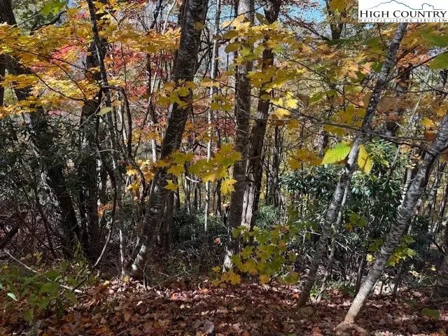Lot 50-51 Poplar Trail, Creston, NC 28615 - Image #1