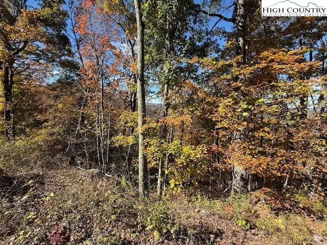 Lot 50-51 Poplar Trail, Creston, NC 28615 - Image #2