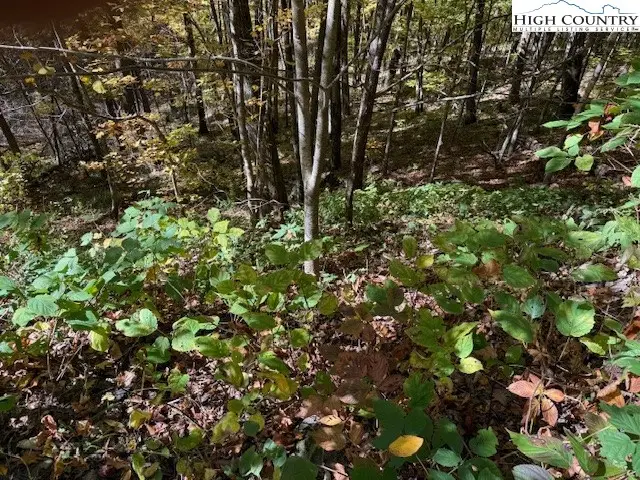 Lot 53 & 53a Poplar Trail, Creston, NC 28615 - Image #1