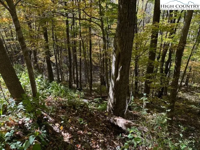 Lot 53 & 53a Poplar Trail, Creston, NC 28615 - Image #2