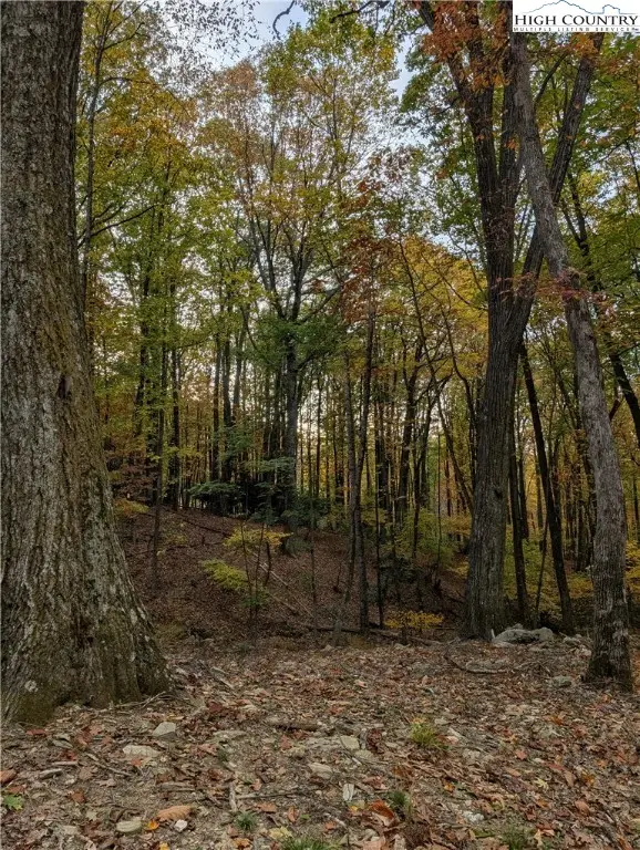 TBD Rocky Mountain Road, Sparta, NC 28627