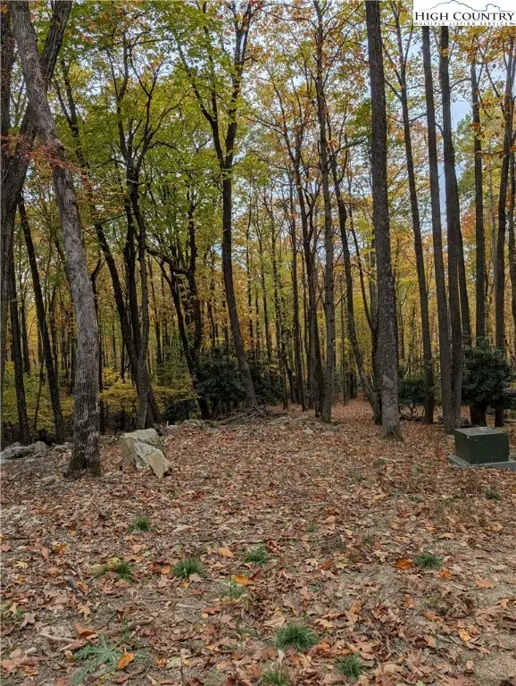 TBD Rocky Mountain Road, Cherry Lane, NC 28627 - Image #2