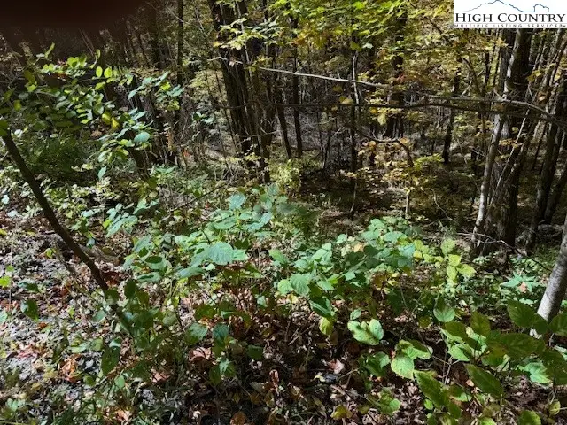 Lot 677 Three Top Trailhead Access Road, Creston, NC 28615 - Image #2