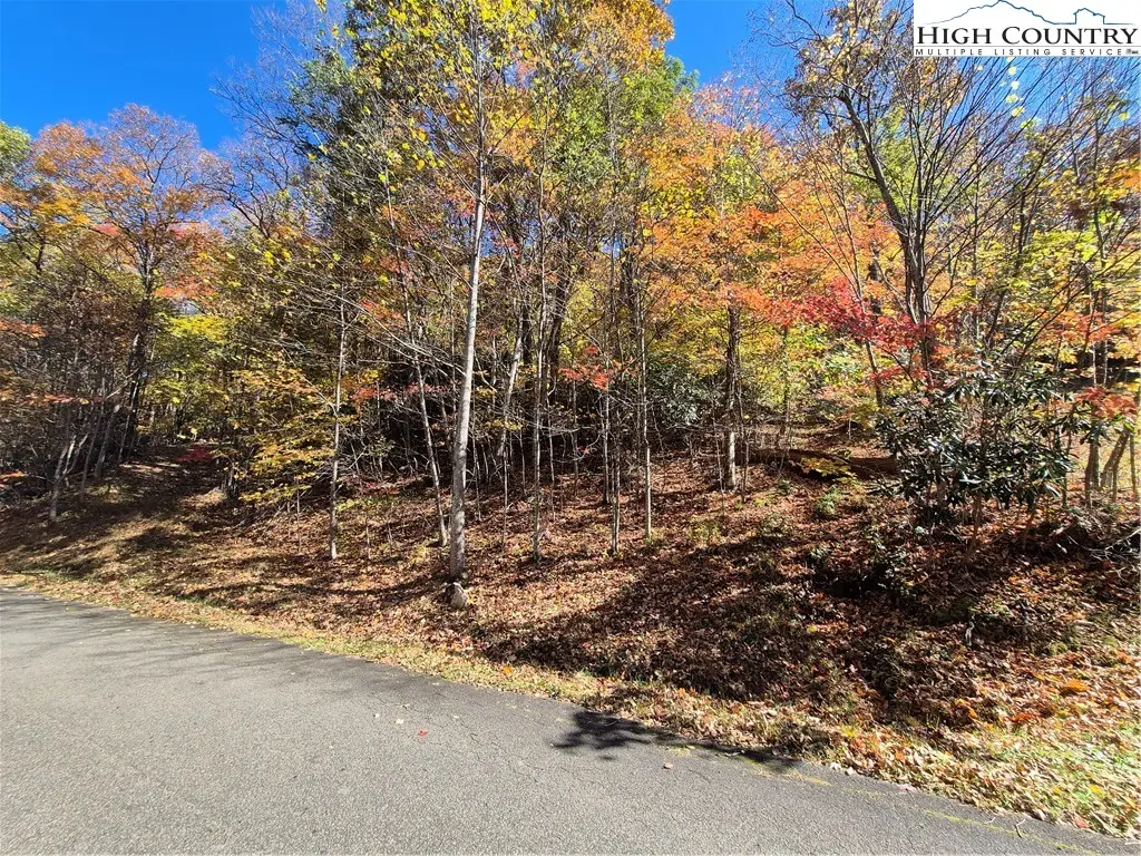 TBD Lauren Lane, West Jefferson, NC 28694 - Image #1