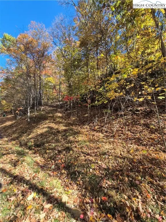 TBD Lauren Lane, West Jefferson, NC 28694 - Image #2