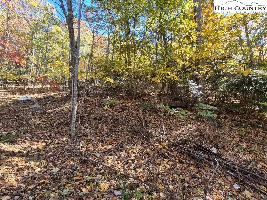 TBD Lauren Lane, West Jefferson, NC 28694 - Image #3