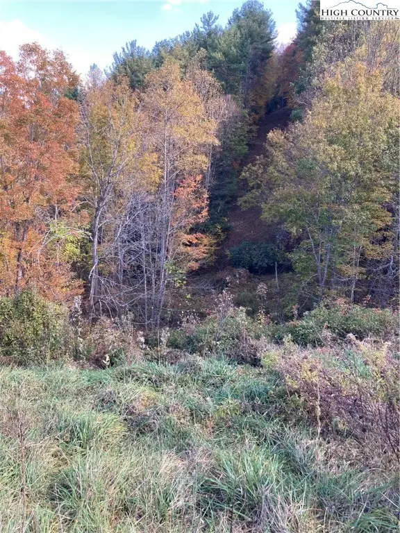 2000 U S Highway 321 Highway, Sugar Grove, NC 28679 - Image #1