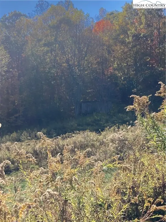 2000 U S Highway 321 Highway, Sugar Grove, NC 28679 - Image #2