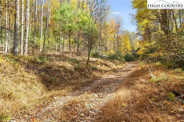 TBD Monroe Herman #1 Road, Banner Elk, NC 28604