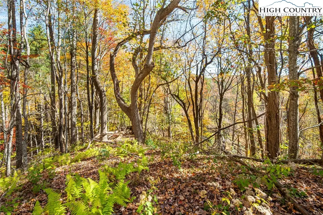 TBD Monroe Herman #3 Road, Banner Elk, NC 28604 - Image #1